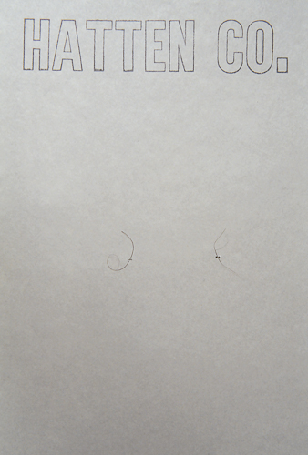 Artists' Pubic Hair (DNA)