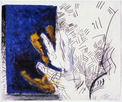 Flesh and Bone study