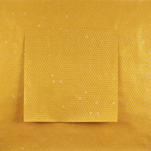 Yellow Pigment Black Code Diptych
